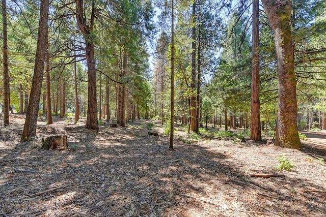 6960 Blackhawk Ln, Foresthill, CA 95631