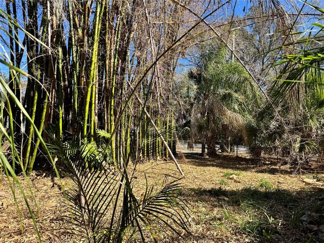 8716 N TEMPLE AVENUE, Tampa, FL 33617