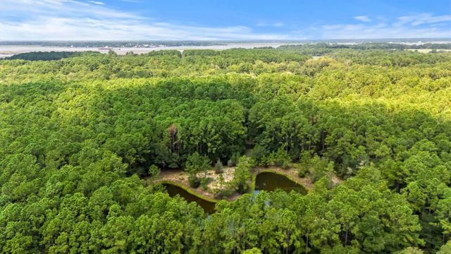 1451 Bears Bluff Road, Wadmalaw Island, SC 29487