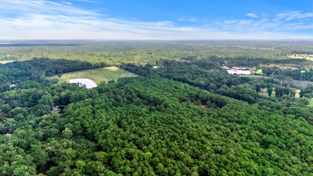 1451 Bears Bluff Road, Wadmalaw Island, SC 29487