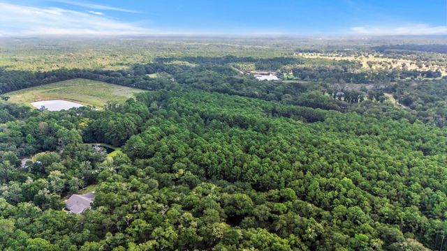1451 Bears Bluff Road, Wadmalaw Island, SC 29487