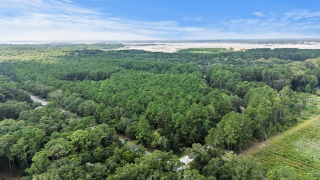 1451 Bears Bluff Road, Wadmalaw Island, SC 29487