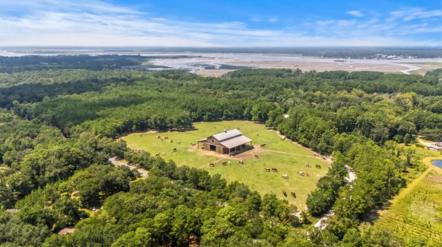 1451 Bears Bluff Road, Wadmalaw Island, SC 29487