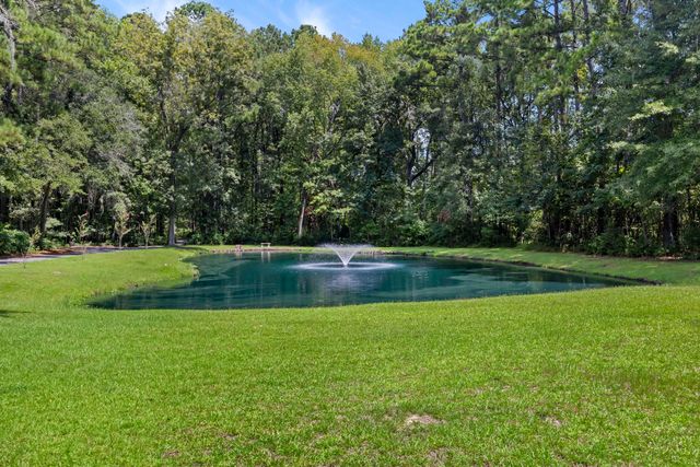 1451 Bears Bluff Road, Wadmalaw Island, SC 29487