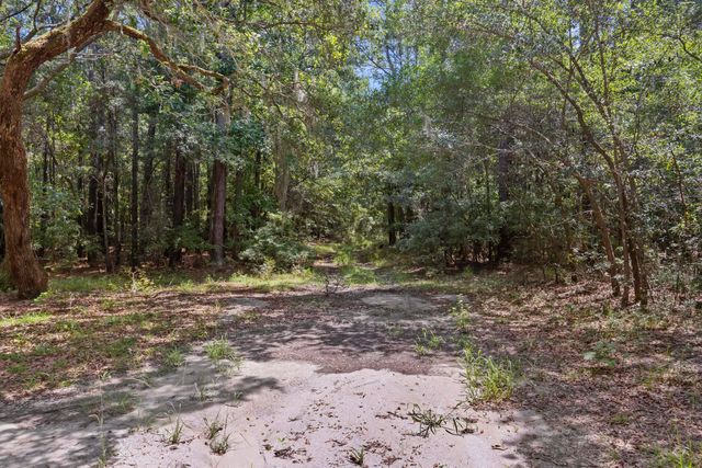 1451 Bears Bluff Road, Wadmalaw Island, SC 29487
