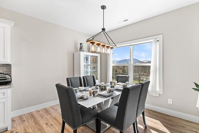 193 Mountain Harbour Drive, Hayesville, NC 28904