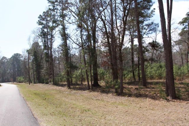 4345 Fm 3188, Trinity, TX 75862