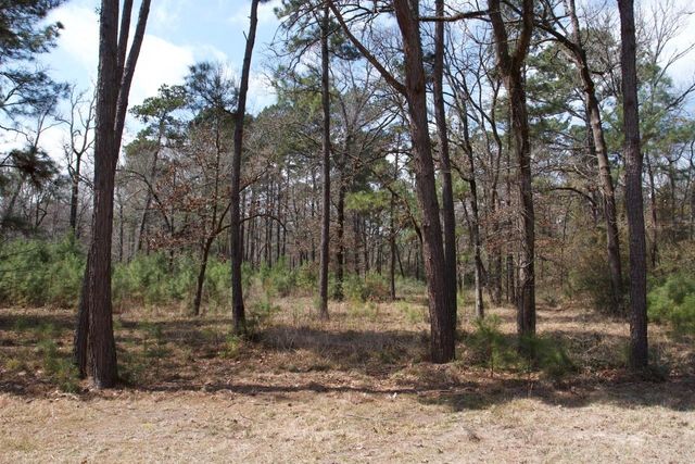 4345 Fm 3188, Trinity, TX 75862