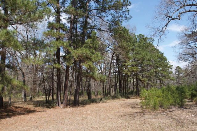 4345 Fm 3188, Trinity, TX 75862