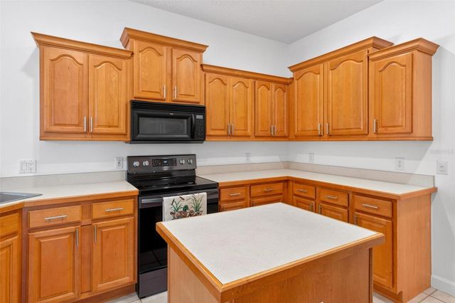 19337 SPRING OAK DRIVE, Eustis, FL 32736