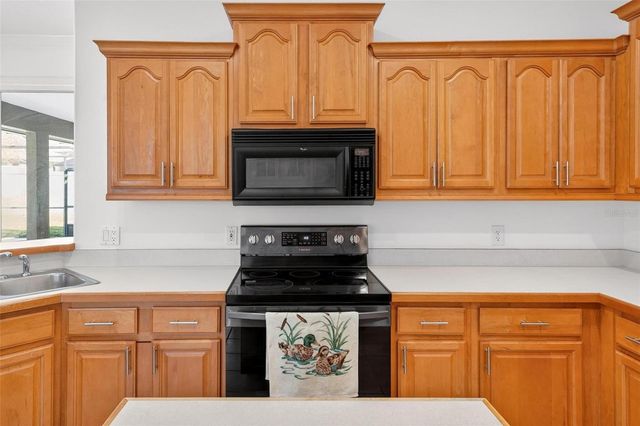 19337 SPRING OAK DRIVE, Eustis, FL 32736