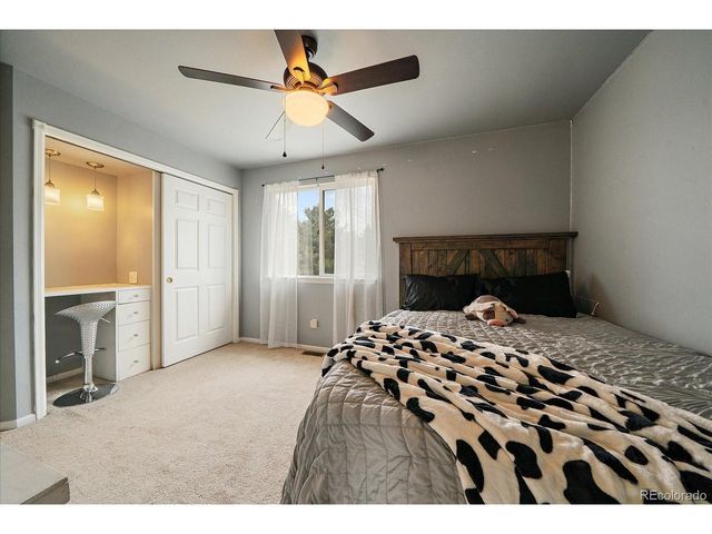22240 Pebble Brook Ln, Parker, CO 80138
