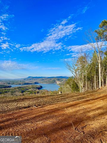 334 Packet Court, Ranger, GA 30734