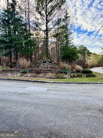 334 Packet Court, Ranger, GA 30734