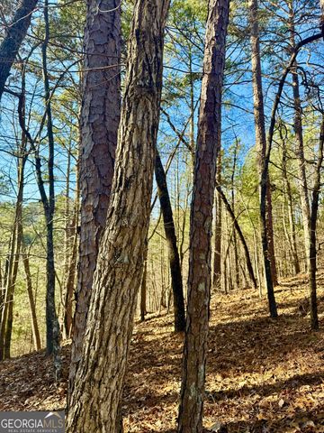 334 Packet Court, Ranger, GA 30734