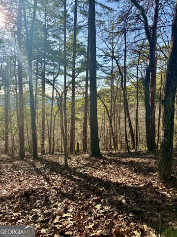 334 Packet Court, Ranger, GA 30734