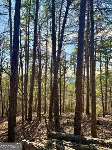 334 Packet Court, Ranger, GA 30734