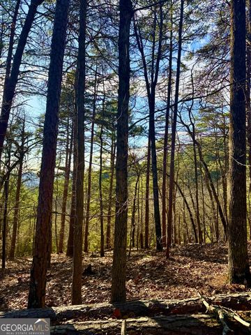 334 Packet Court, Ranger, GA 30734