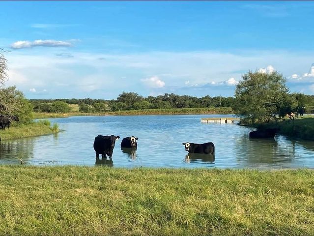 Lot 17 Brazos Mountain Ranch, Mineral Wells, TX 76067