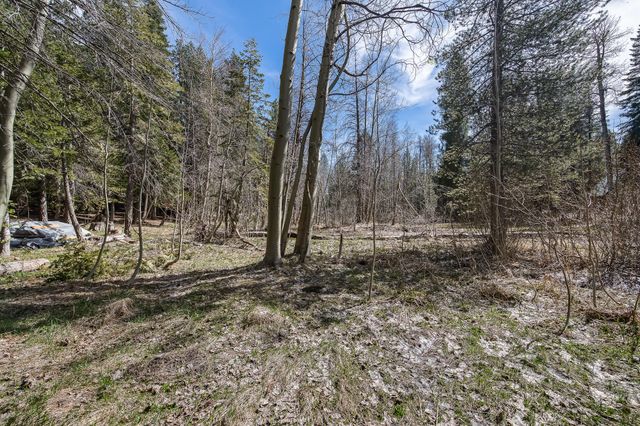 57715 Fox Drive, Ponderosa, CA 93265