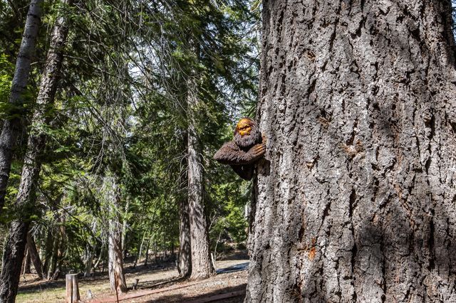 57715 Fox Drive, Ponderosa, CA 93265