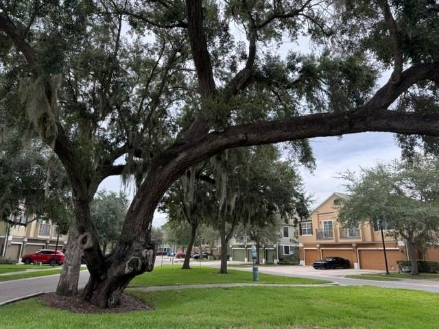 1470 BROKEN OAK DRIVE 27C, Winter Garden, FL 34787