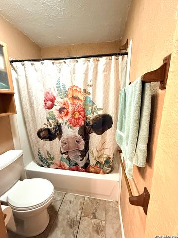 10203 PLUMAS DR, Converse, TX 78109