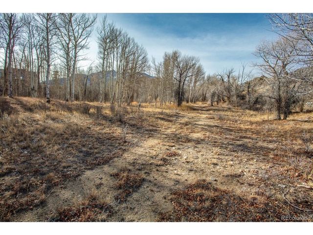 17573 Trout Cir, Buena Vista, CO 81211