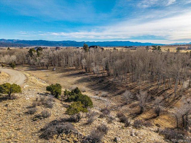 17573 Trout Cir, Buena Vista, CO 81211
