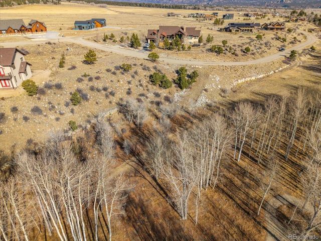 17573 Trout Cir, Buena Vista, CO 81211