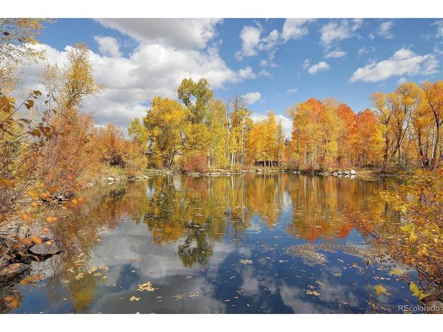 17573 Trout Cir, Buena Vista, CO 81211