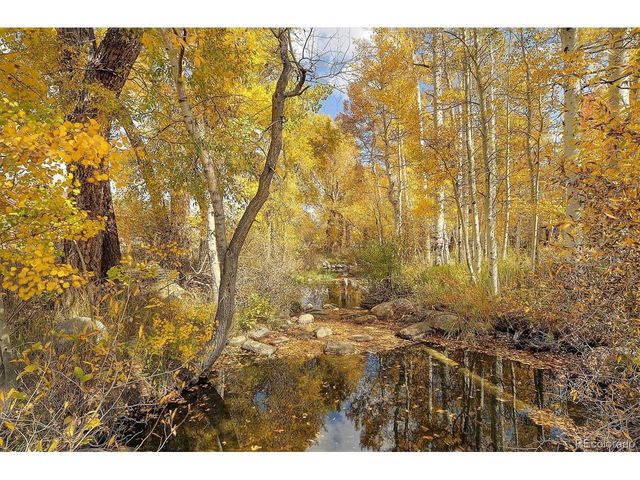 17573 Trout Cir, Buena Vista, CO 81211