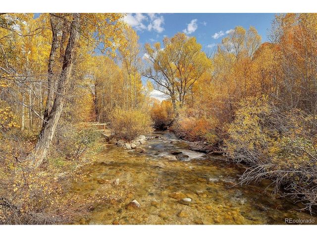 17573 Trout Cir, Buena Vista, CO 81211