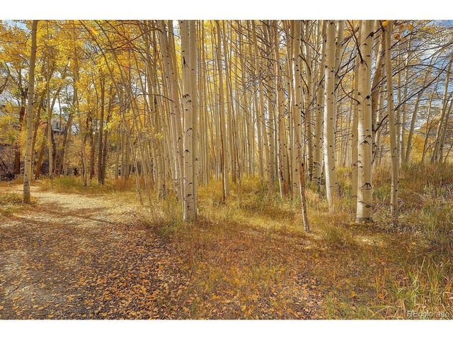 17573 Trout Cir, Buena Vista, CO 81211