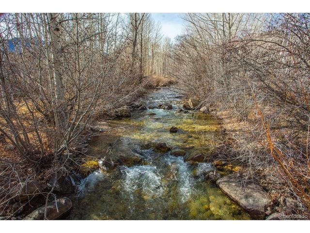 17573 Trout Cir, Buena Vista, CO 81211