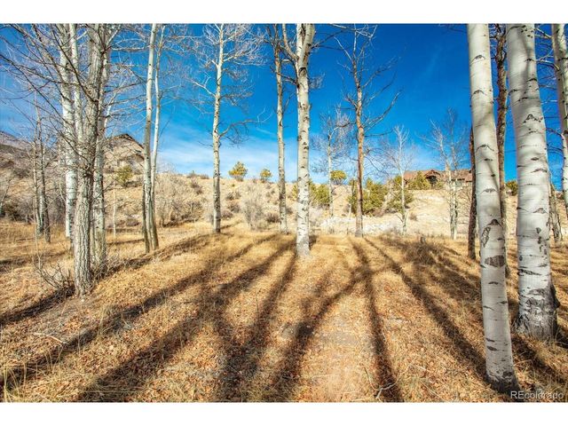 17573 Trout Cir, Buena Vista, CO 81211