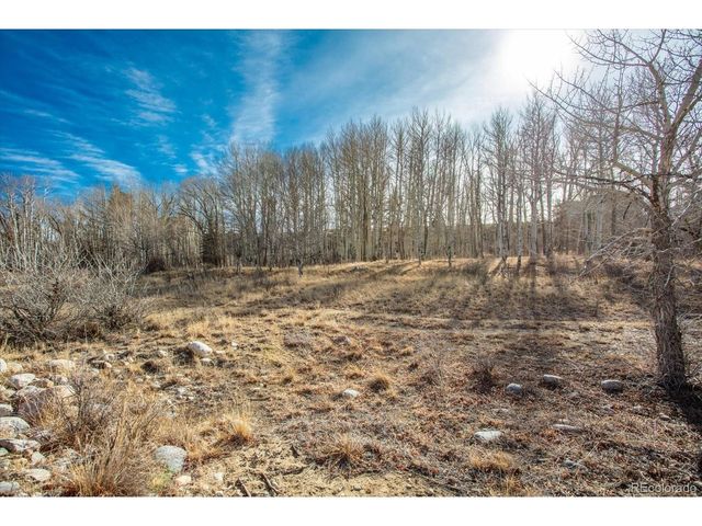 17573 Trout Cir, Buena Vista, CO 81211