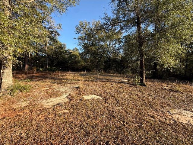 1125 Celeste Springs Drive, Saraland, AL 36571