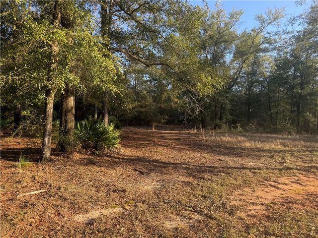 1125 Celeste Springs Drive, Saraland, AL 36571