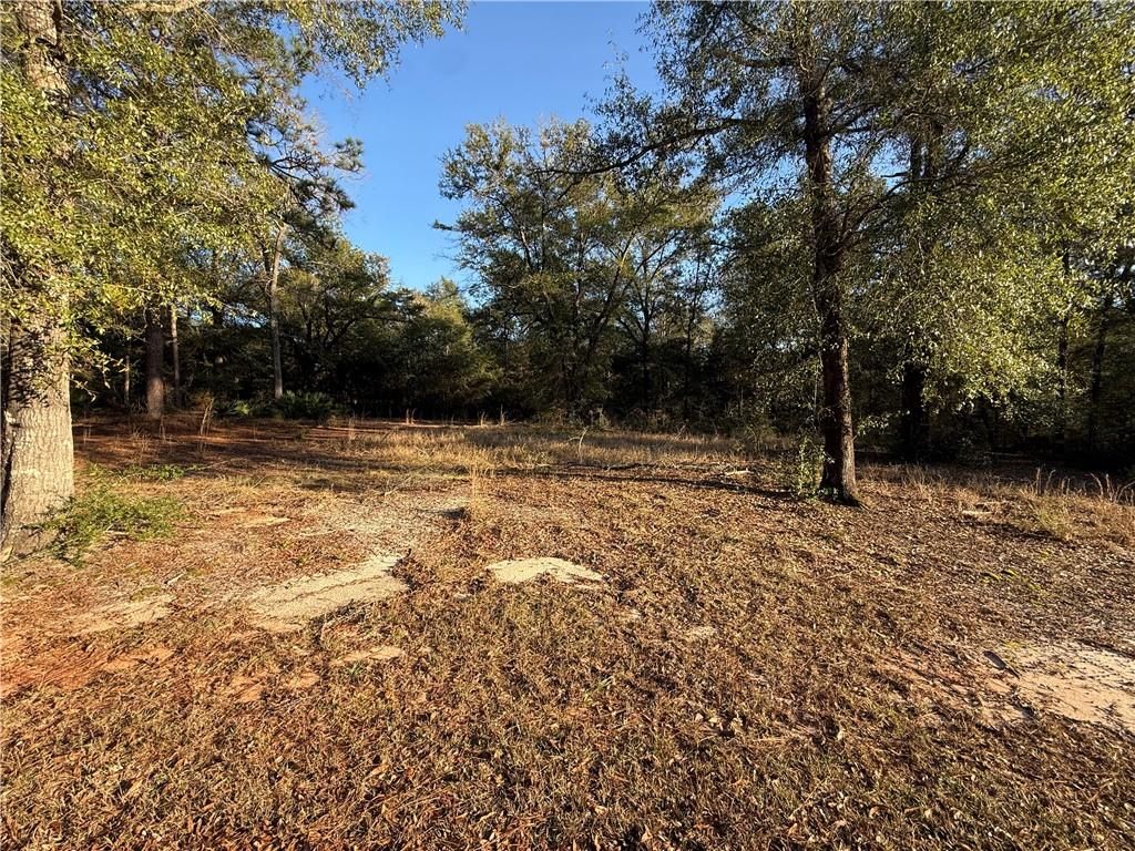 1125 Celeste Springs Drive, Saraland, AL 36571 — photo 4