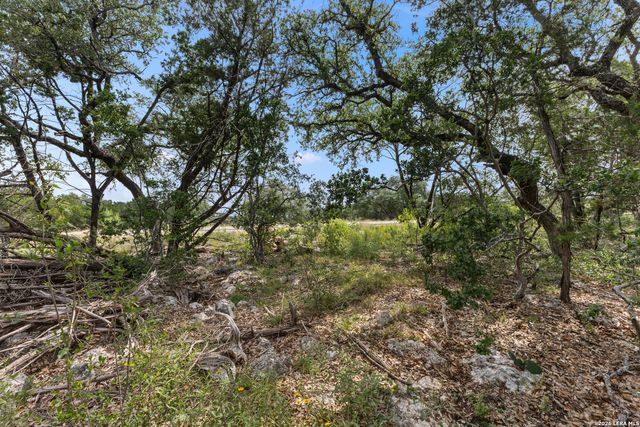 1869 PARADISE PKWY, Canyon Lake, TX 78133