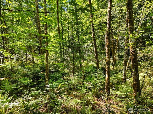 0 TR 15 E Jared Road, Shelton, WA 98584