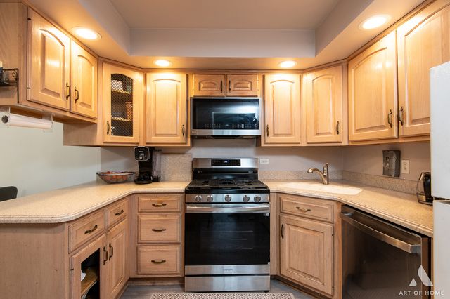 15713 orlan brook Drive 100, Orland Park, IL 60462