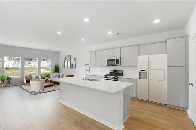 1041 Red Turnstone Run, Summerville, SC 29485