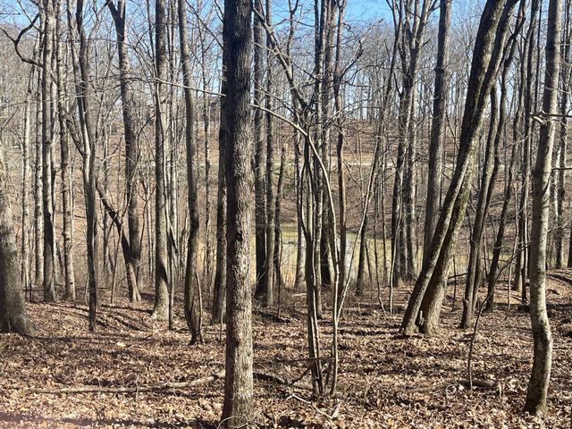 80 High Point Lane, Jasper, TN 37347