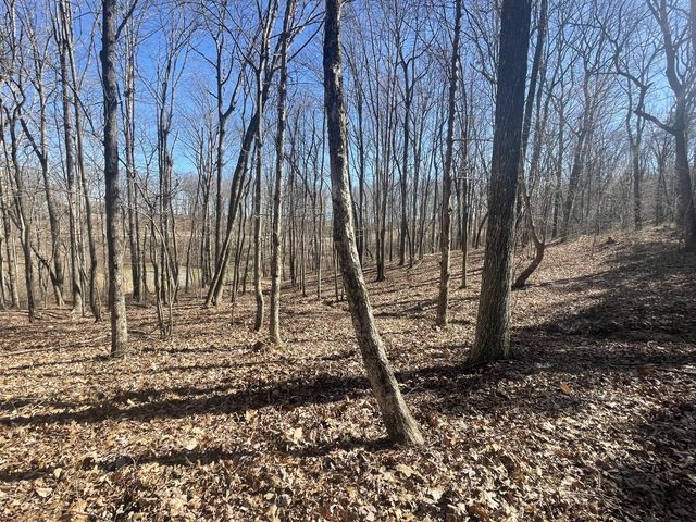 80 High Point Lane, Jasper, TN 37347