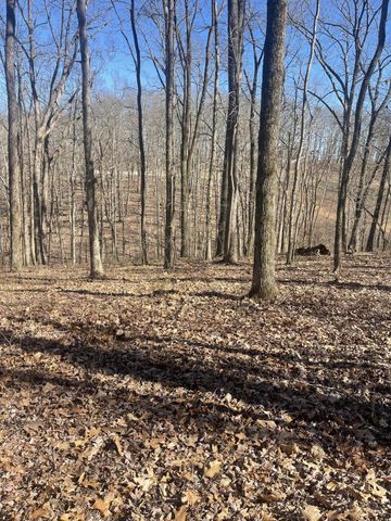 80 High Point Lane, Jasper, TN 37347