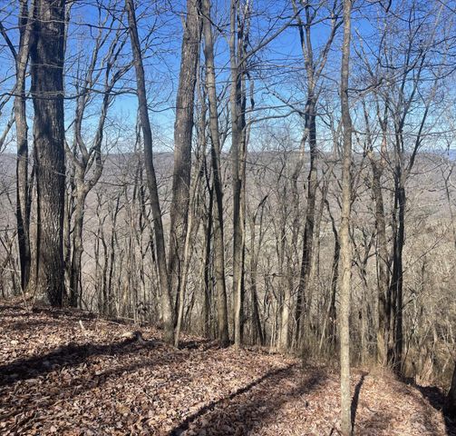 80 High Point Lane, Jasper, TN 37347