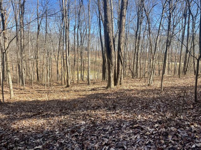 80 High Point Lane, Jasper, TN 37347