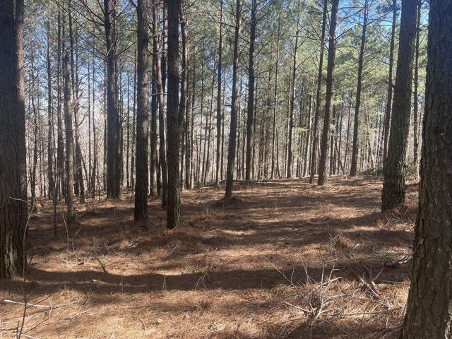 80 High Point Lane, Jasper, TN 37347